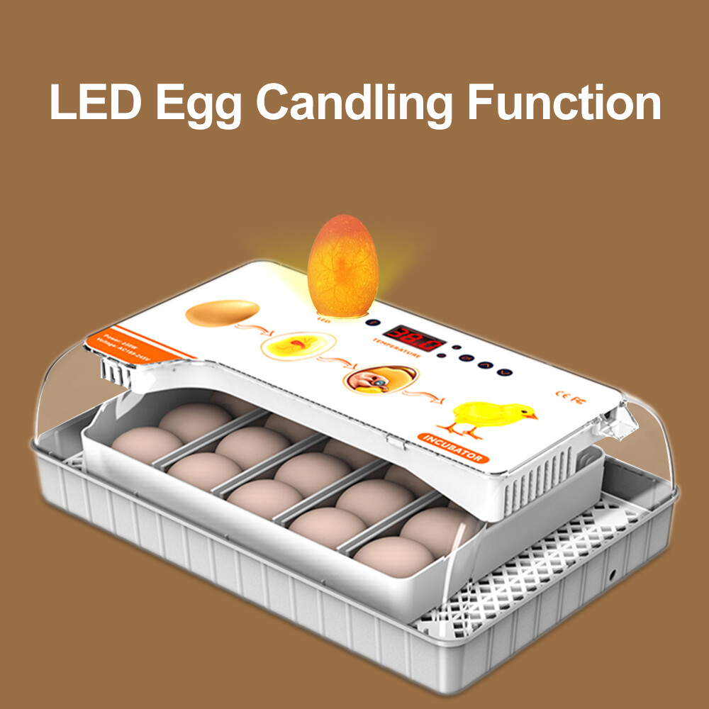 20 Egg Automatic Egg Incubator - Digital Turning Hatching Machine