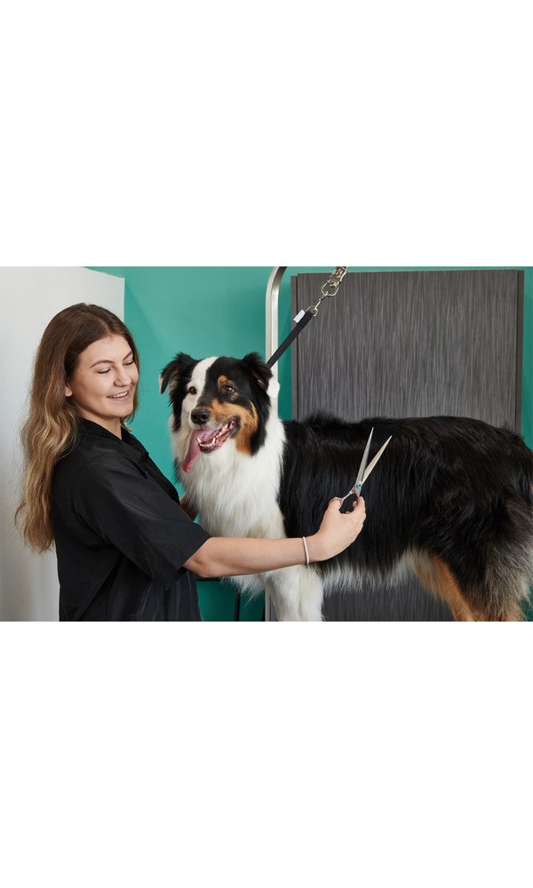 Groomer Essentials Straight Shear 8"