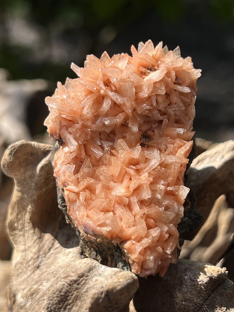 Orange Heulandite Cluster Bed Bright Colouring AAA+ 7