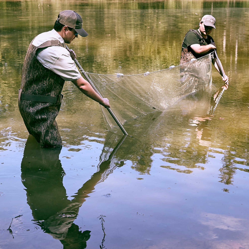 Polyester Seine 10´ x 4´