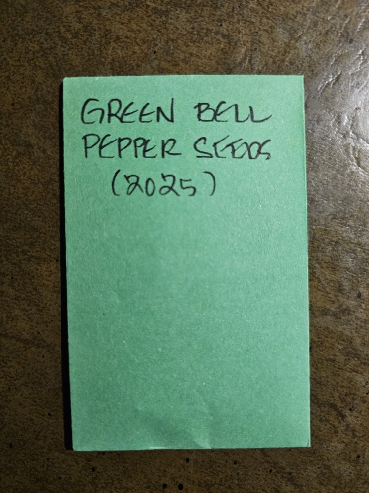 Green Bell Pepper Seeds — Non-GMO