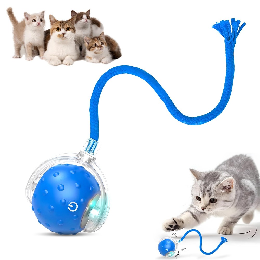 Tiny Fetch Dog Toy, Tinyfetch Interactive Cat Toys Balls with blue