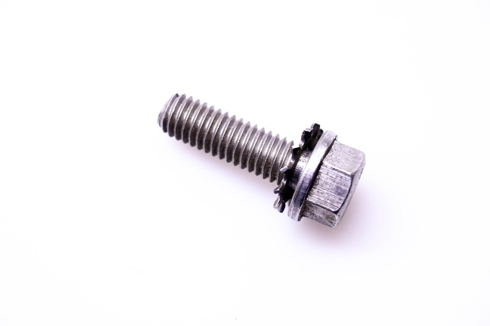 OMC 310406 Screw NOS