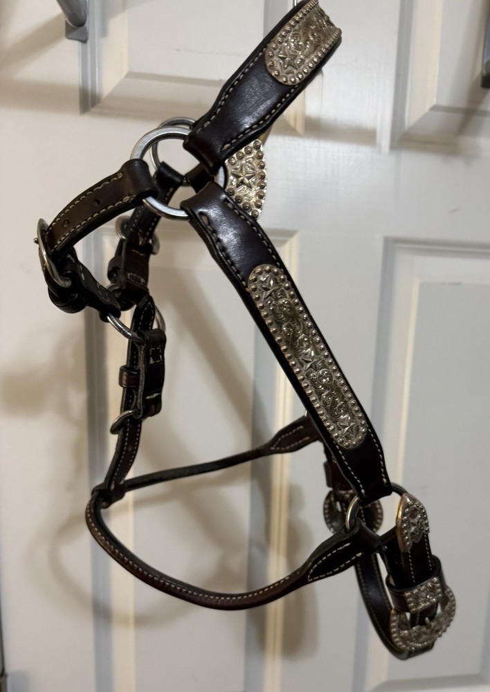 Harris Leather & Silverworks Custom Halter