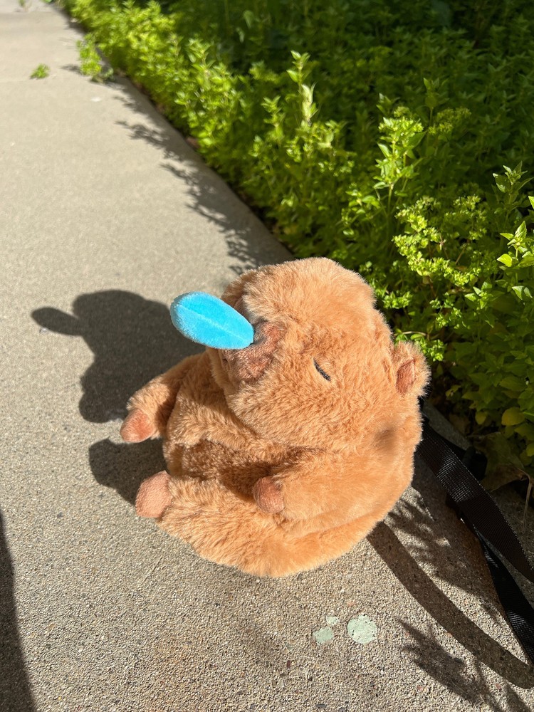 Capybara Snore Chalk Bag