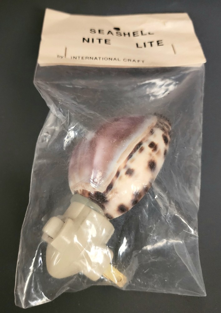 International Craft Seashell Nite Lite
