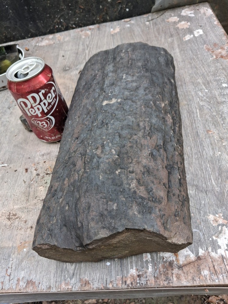 Petrified Wood Log