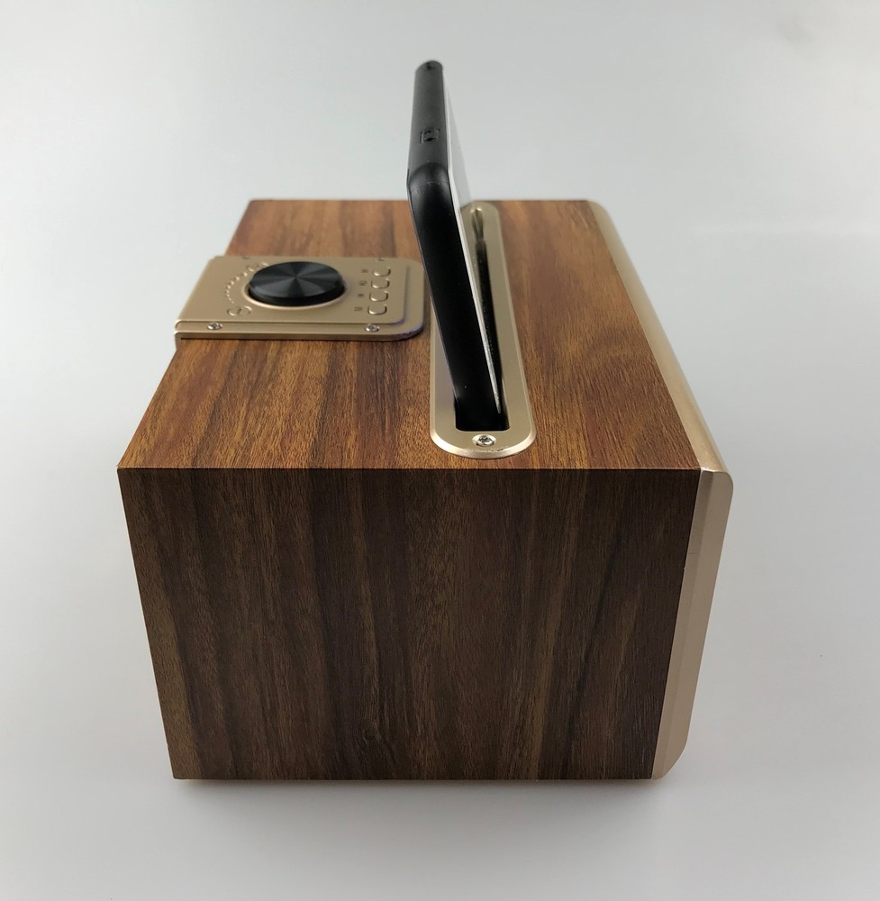 Mini Retro Design Bluetooth Speaker & FM Radio W06