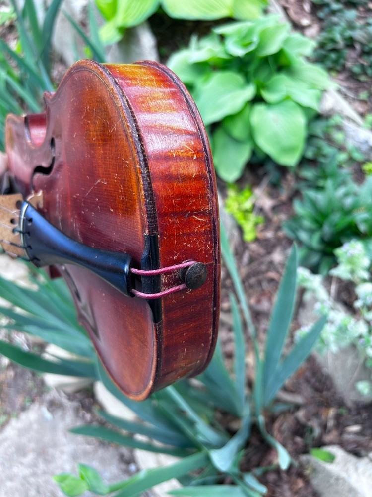 violin