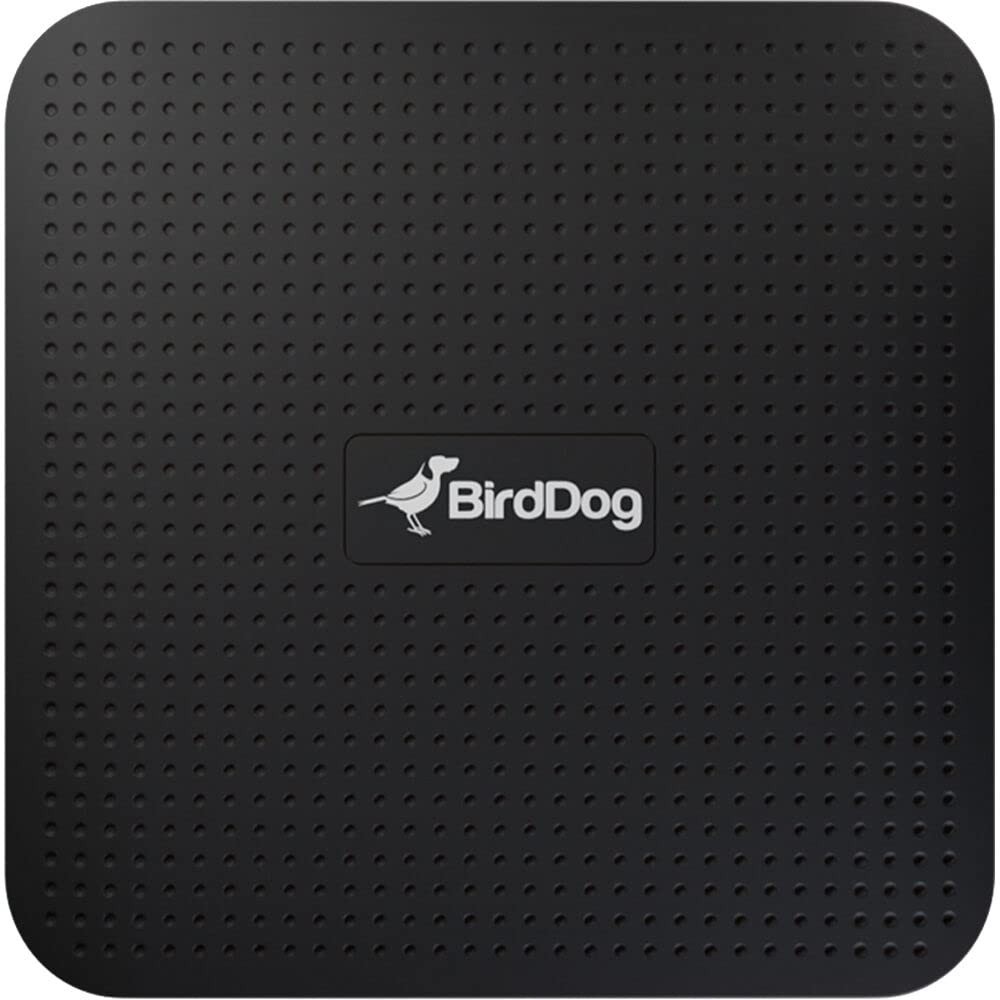 BIRDDOG Play 4K NDI Player
