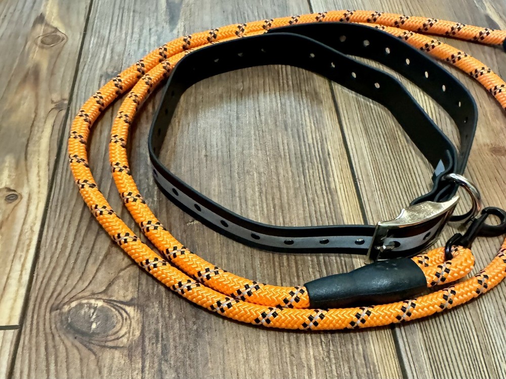Dog Collar And Leash Set