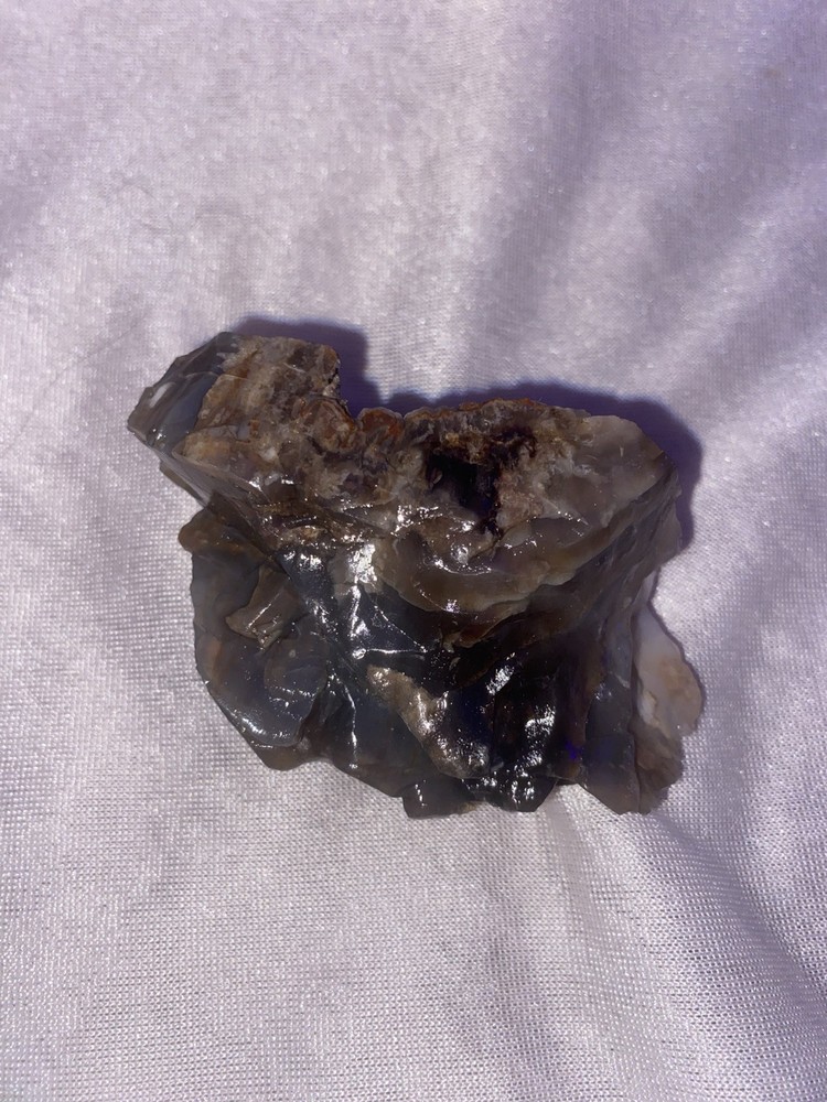 Petrified Wood