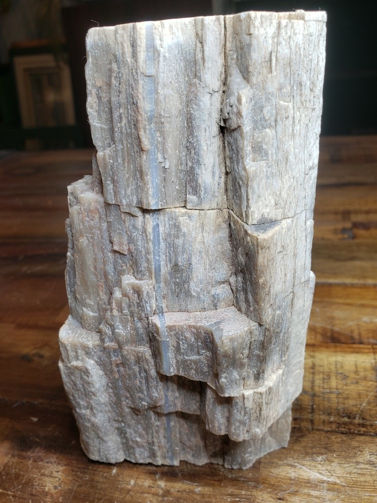 Crystalized Petrified Wood with vien 2.6lbs