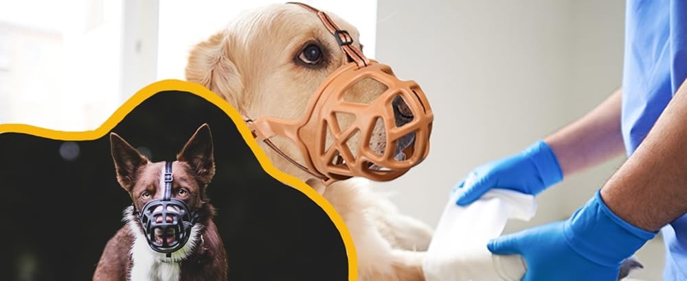 BARKL Dog Muzzle, Basket Muzzle for Biting, Chewing and Scavenging,