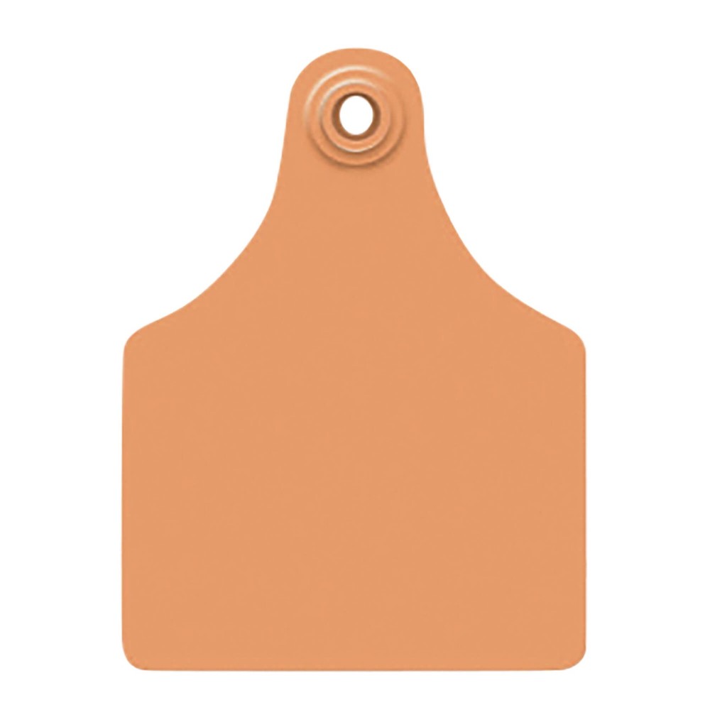 Global Maxi, Blank (25) Color: Orange