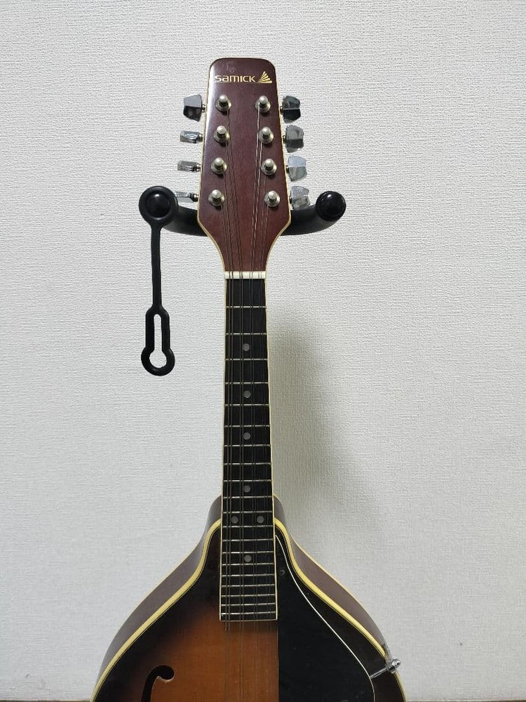 Samick Samick Mandolin sm20ts