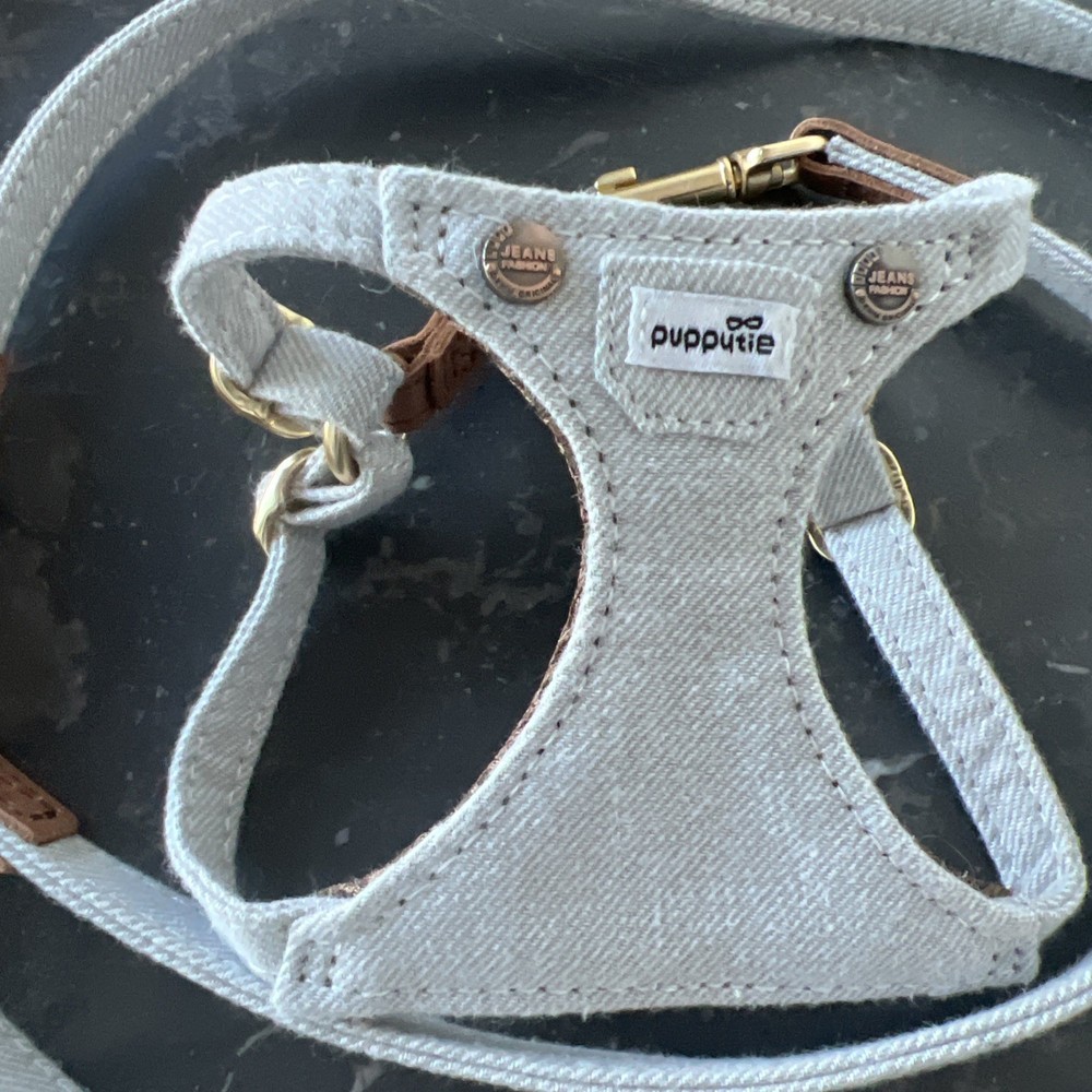 tiny dog harness Set