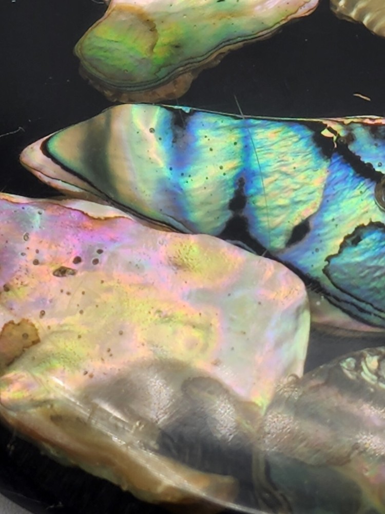 Vintage Trivet Lucite With Abalone Shell Round