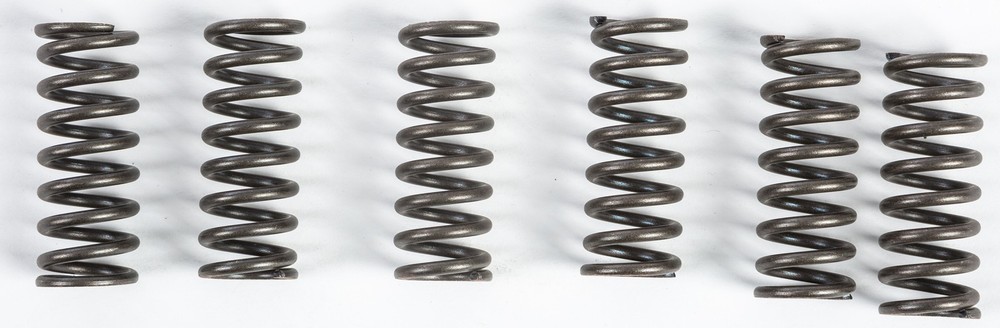 EBC Clutch Spring Set CSK49