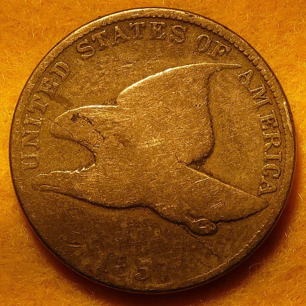 1857 Flying Eagle Cent with obverse lamination