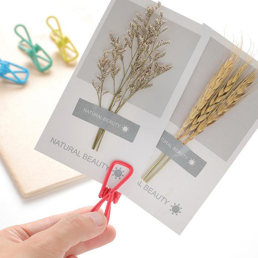 40 Pcs Multi-function Clothing Clips for Hanging Clothespin Windproof