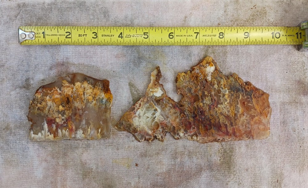 Graveyard Point Plume Agate Old Stock