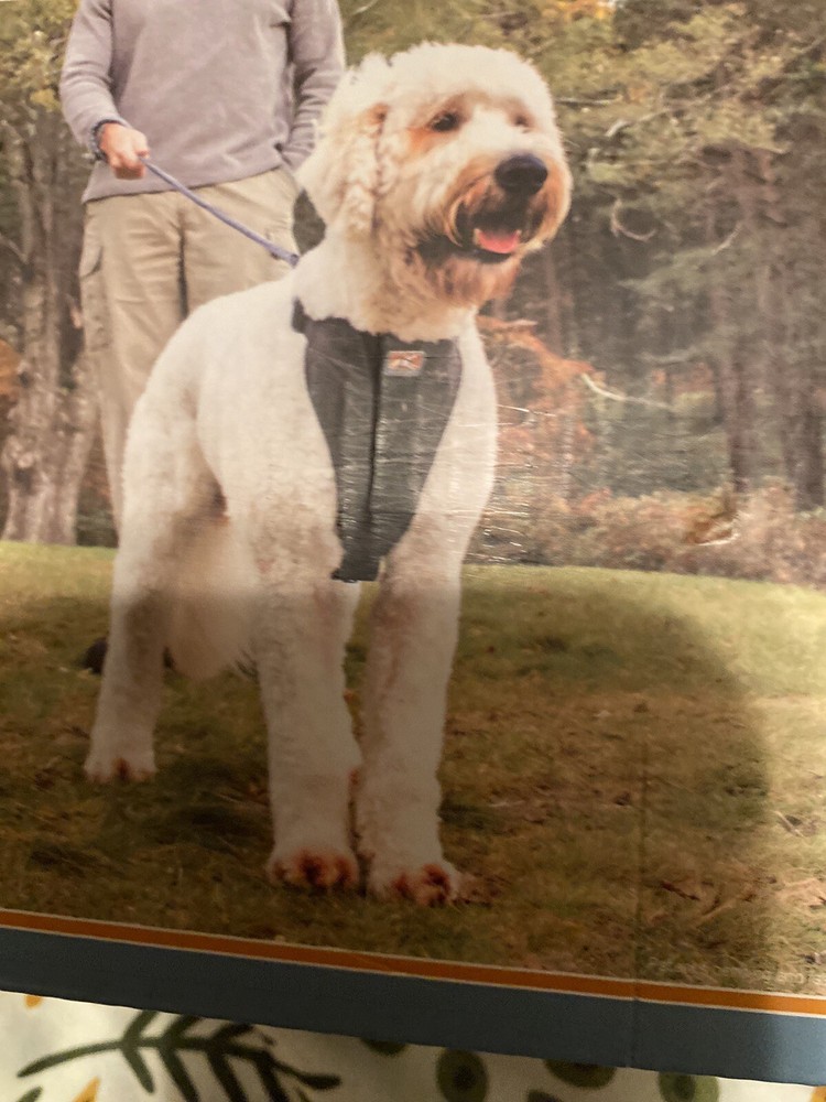 Dog Harness Large True Fit! Nib!