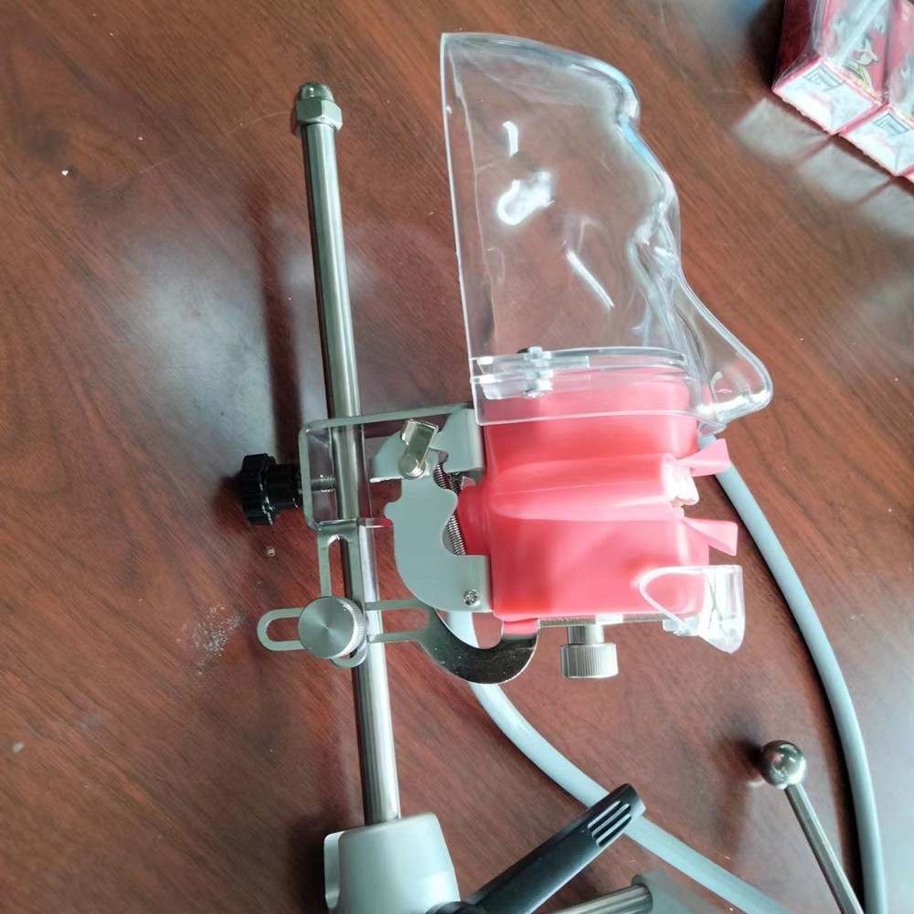 Dental Simulator Phantom Head Model Dental Preparation Support