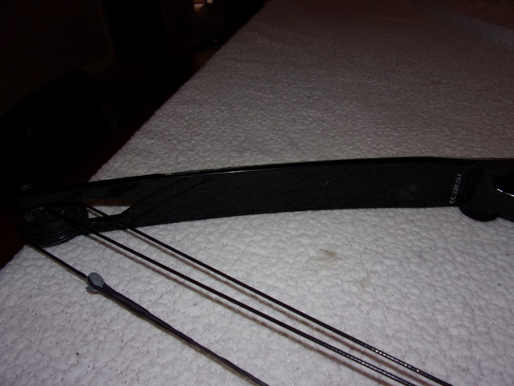 Bear Archery Compound Bow