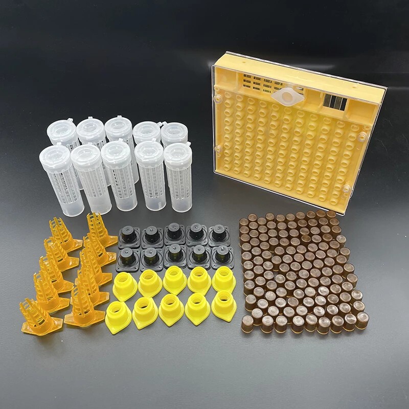 Bee Rearing System Box Plastic Cup Cell Protection Cover Cage Apiculture Kit