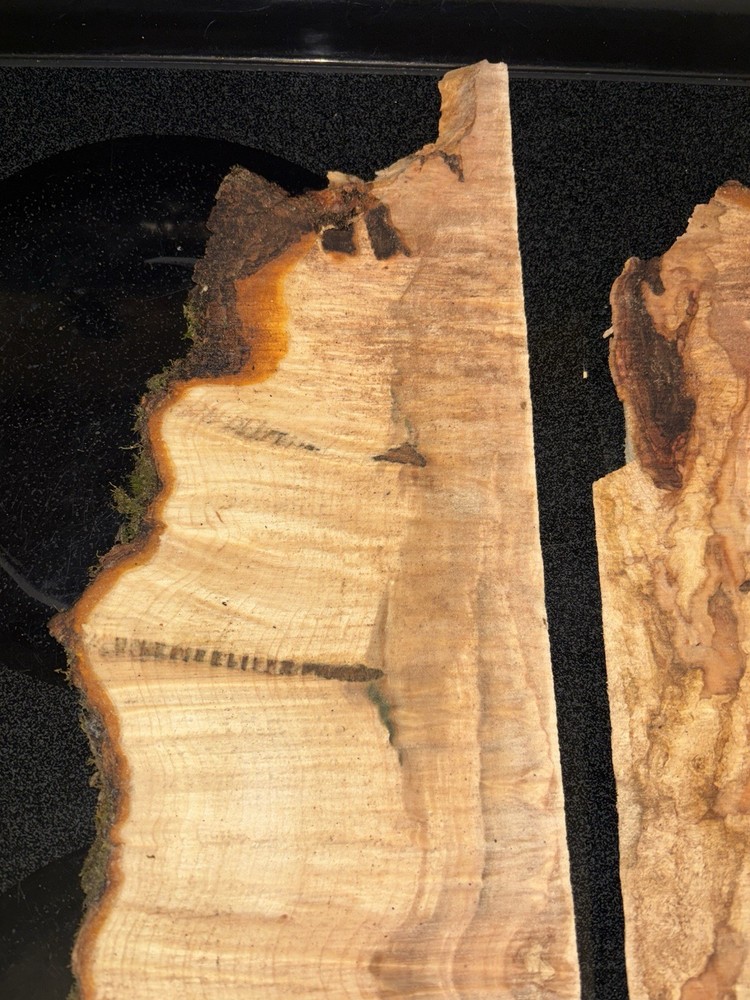 Curly Maple Slabs - 2 Pc Craft Bundle #2085