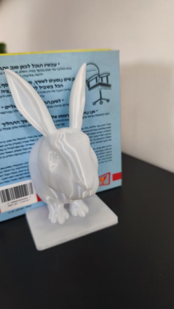 Minimalist Rabbit Bookends - 3D Printed Bunny Bookshelf Decor