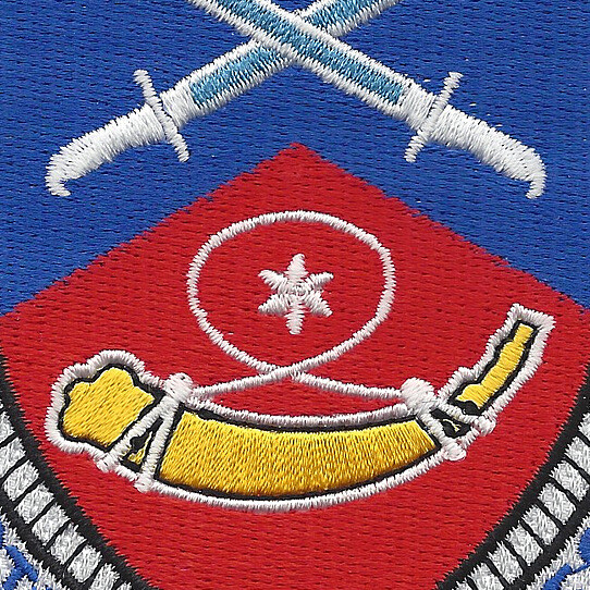 249th Infantry Regiment Patch