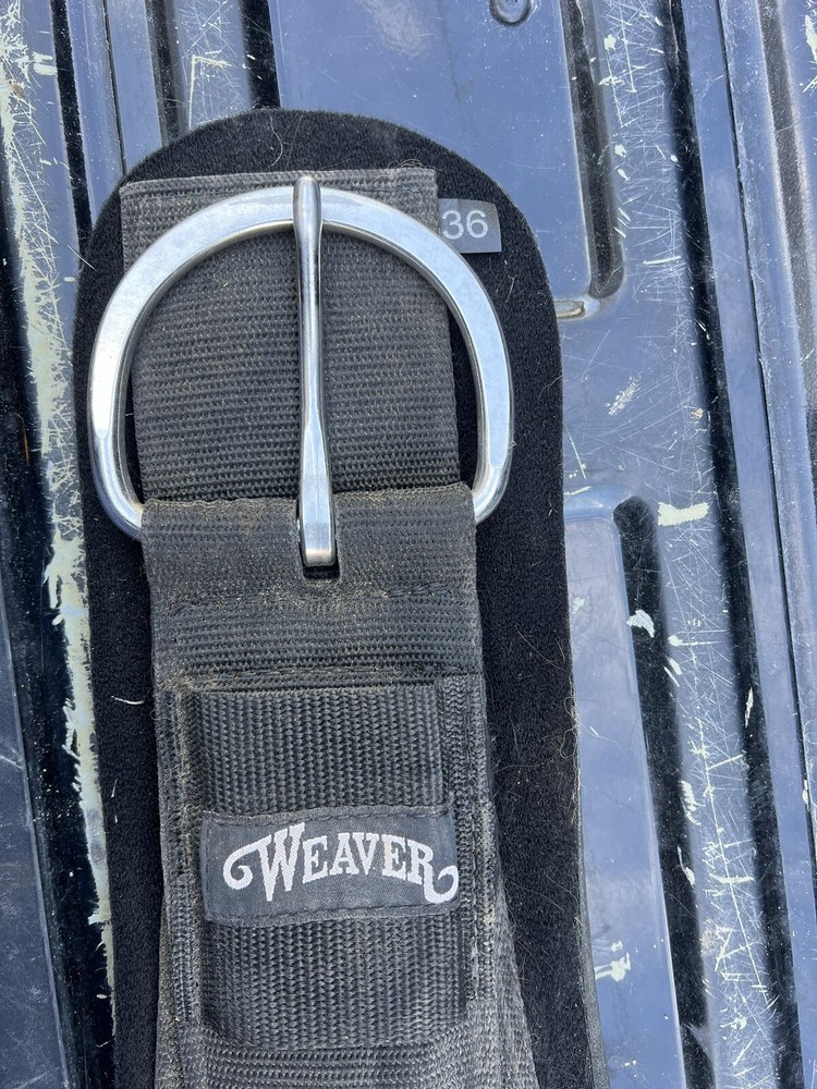 Weaver Cinch Size 36