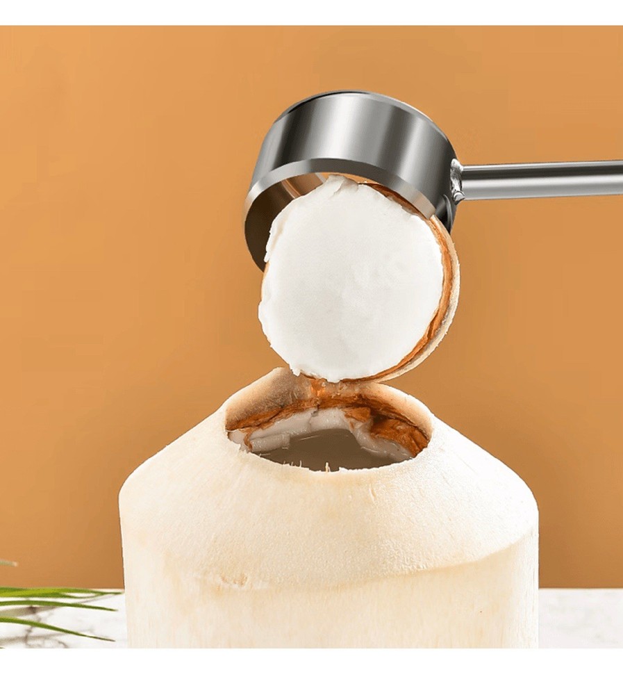 Coconut Opener Tool Set with Hammer Easy Open for Young Coconuts Stainless