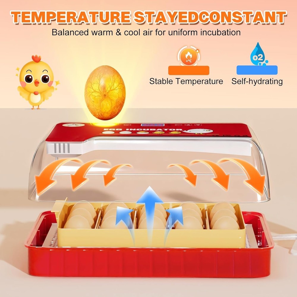 15-35 Eggs Incubator with Automatic Egg Turning and ℉Temperature Display LED Can