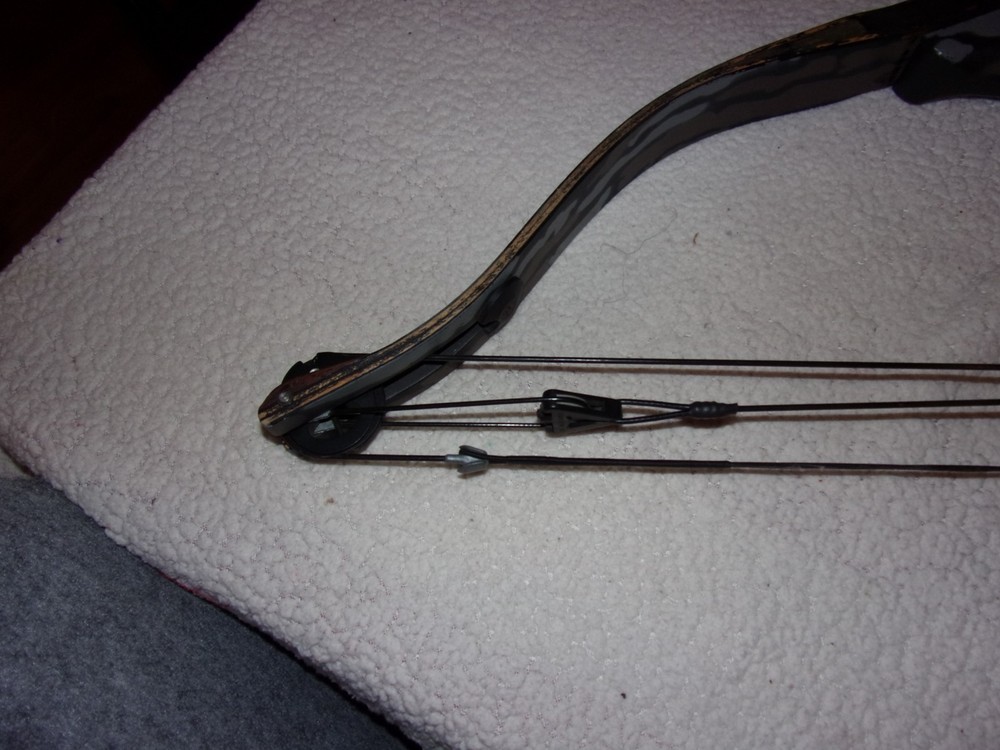 Martin Lynx XR Series Compound Bow