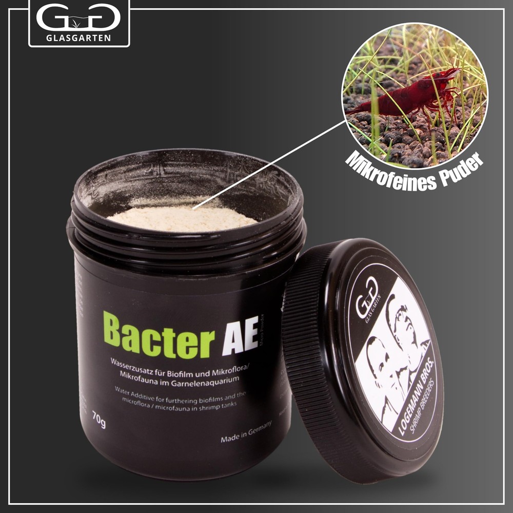 Bacter AE Content 70 g