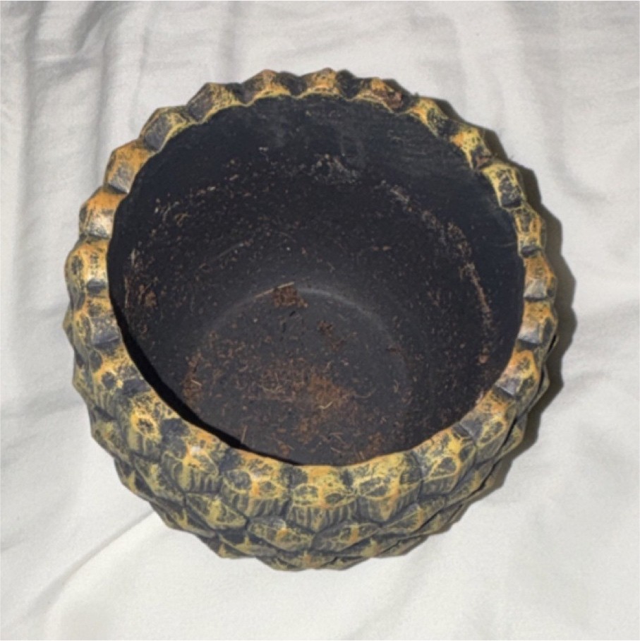 Napco Round Pineapple themed Planter Pot