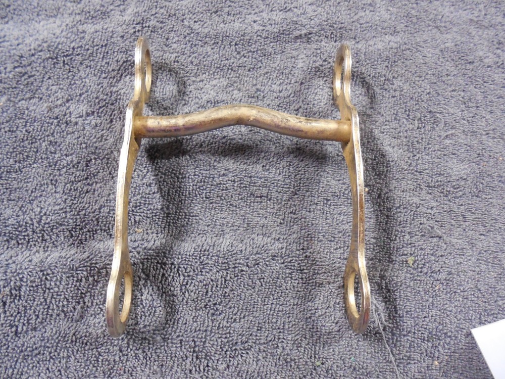 Silver and a Silver curb Bit