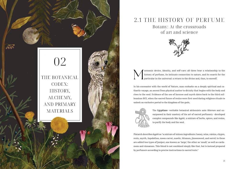 OLFACTORY CODE BOOK Aromatheraphy Magic Scent Magick Alchemy Botanical Perfumery