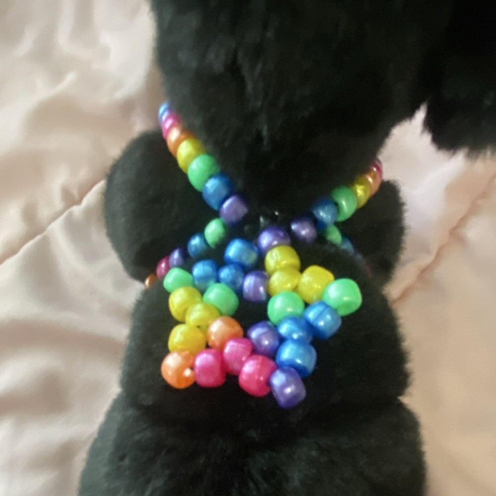 Handmade Rainbow Essa  Kandi star harness!