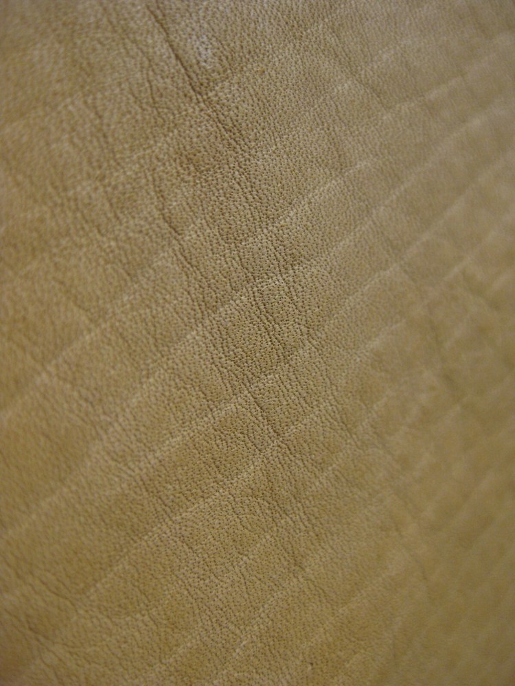 Cow Leather # 0016429 Row 39