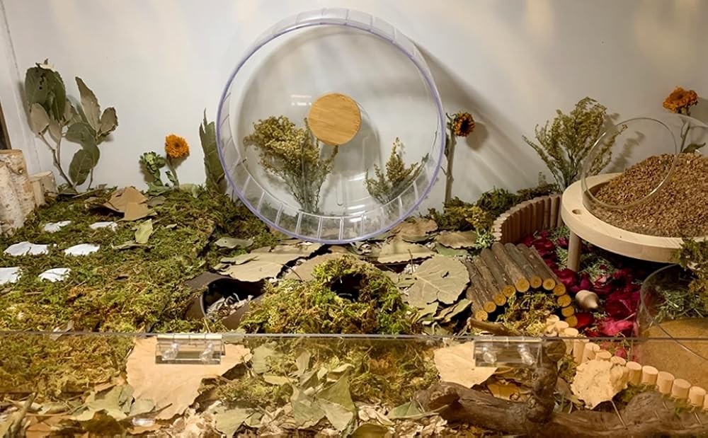 Forest Moss for Hster Bedding Nesting, Syrian rbils Hster