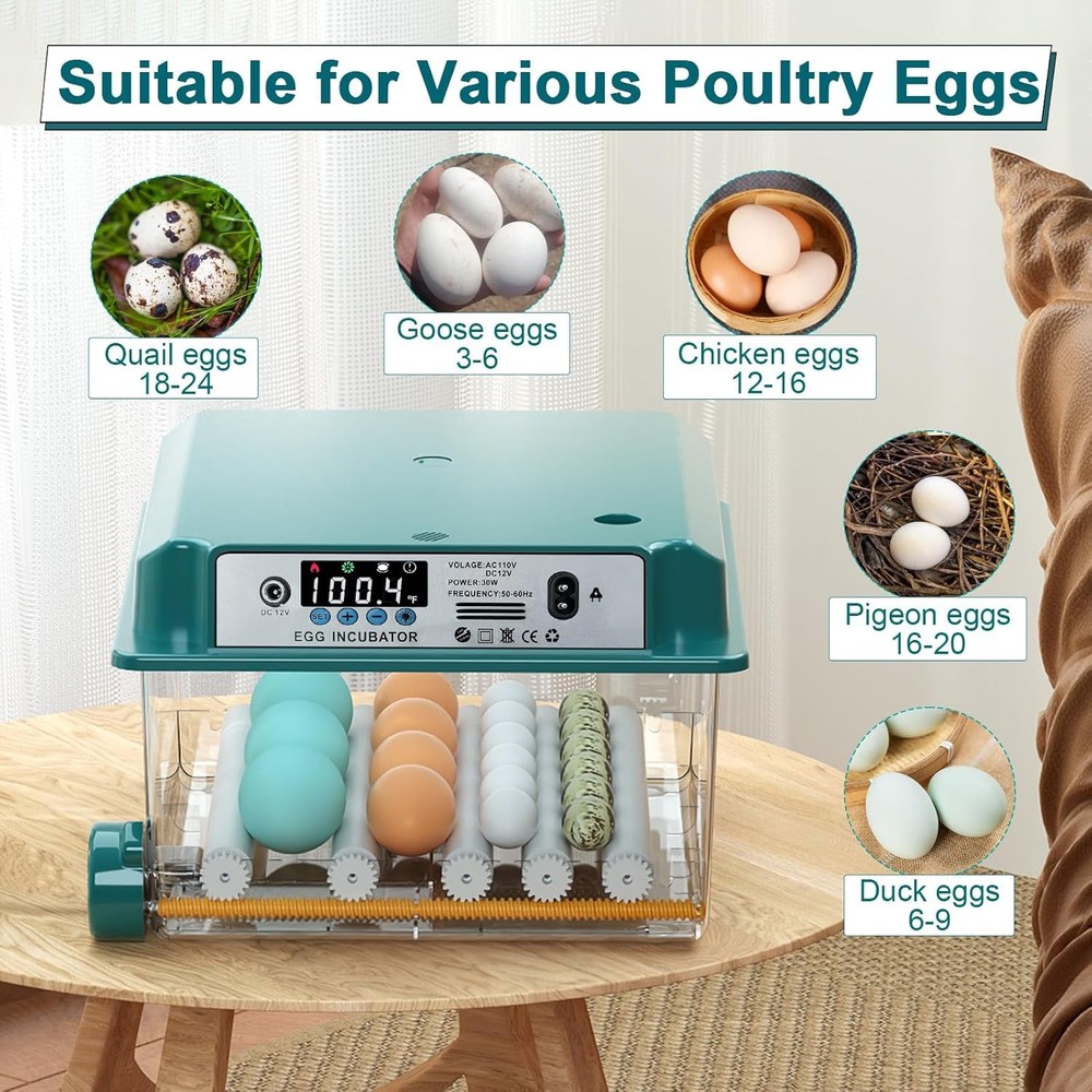 16 Egg Digital Incubator with Automatic Turning for Hatching Eggs