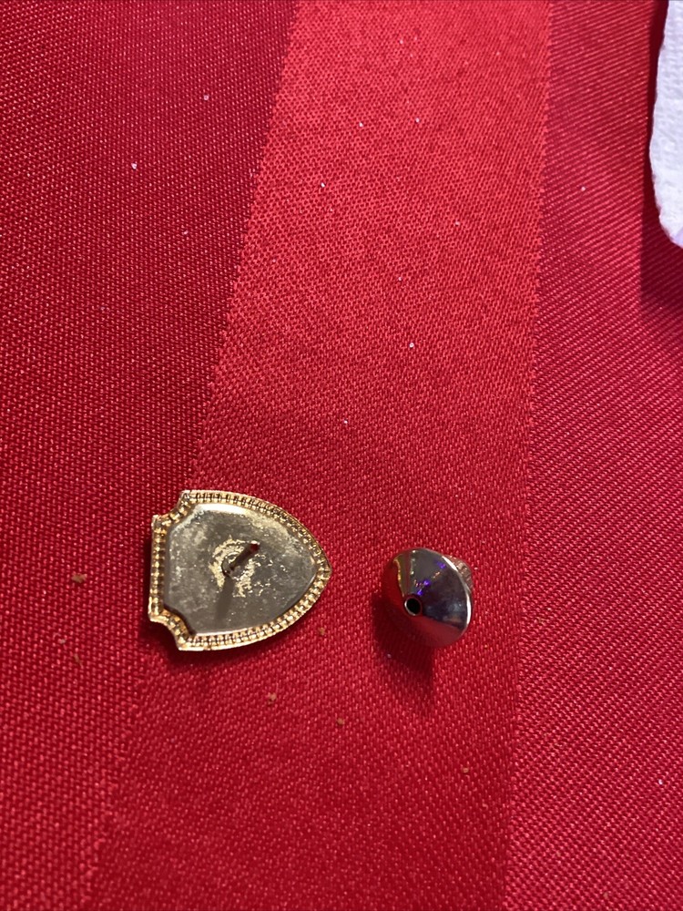 NCL MS Seward pin Rare