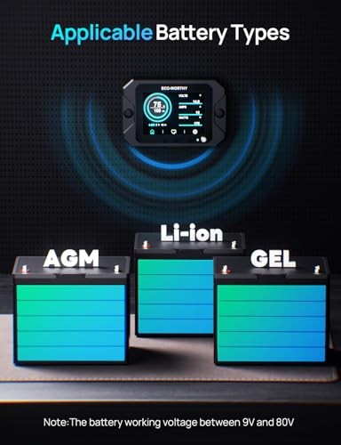 Battery Monitor with Hall Sensor, 300A Touchable Backlight Display with