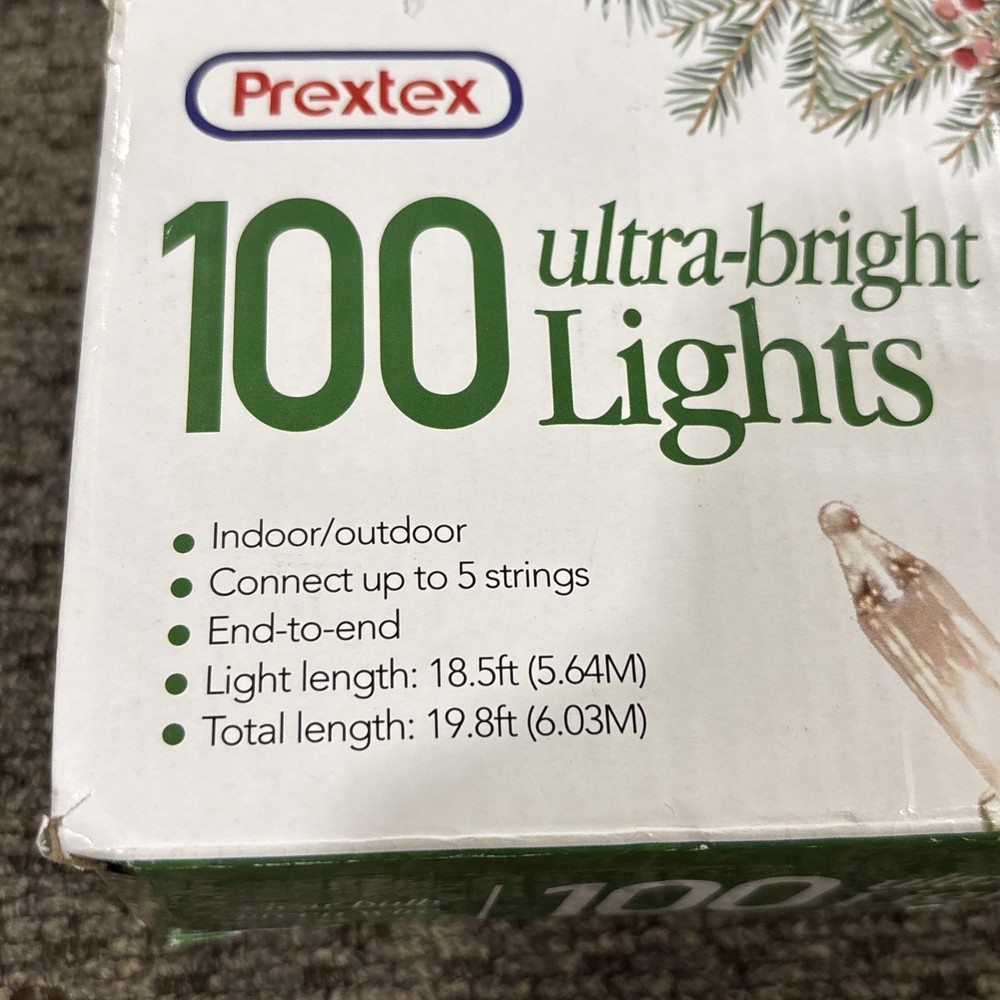 100ct Clear String Lights