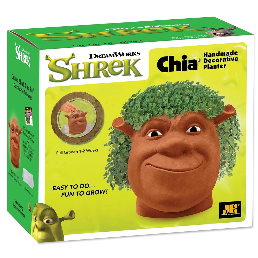 Shrek Handmade Decorative Planter by JEI