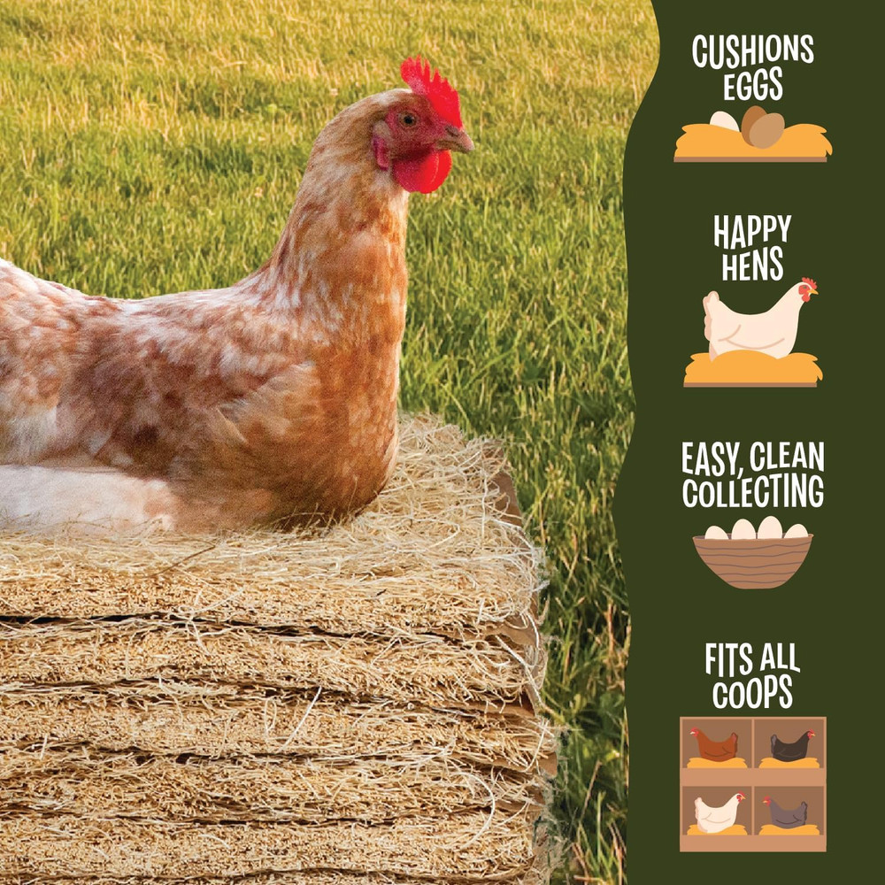 Premium Aspen 12 Pack Excelsior Nesting Liners (12 Pack), Chicken Bedding for Ne